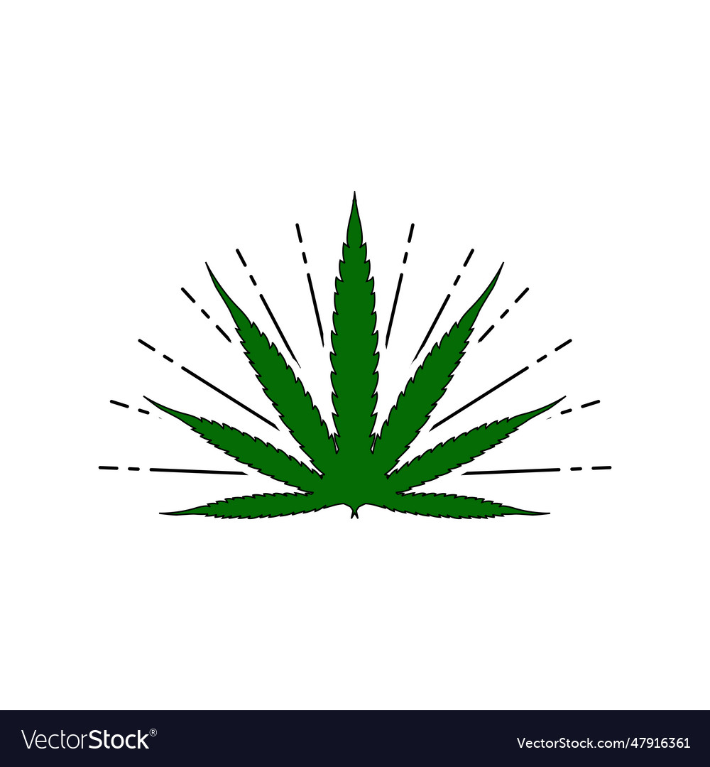 Simple cannabis leaf logo design