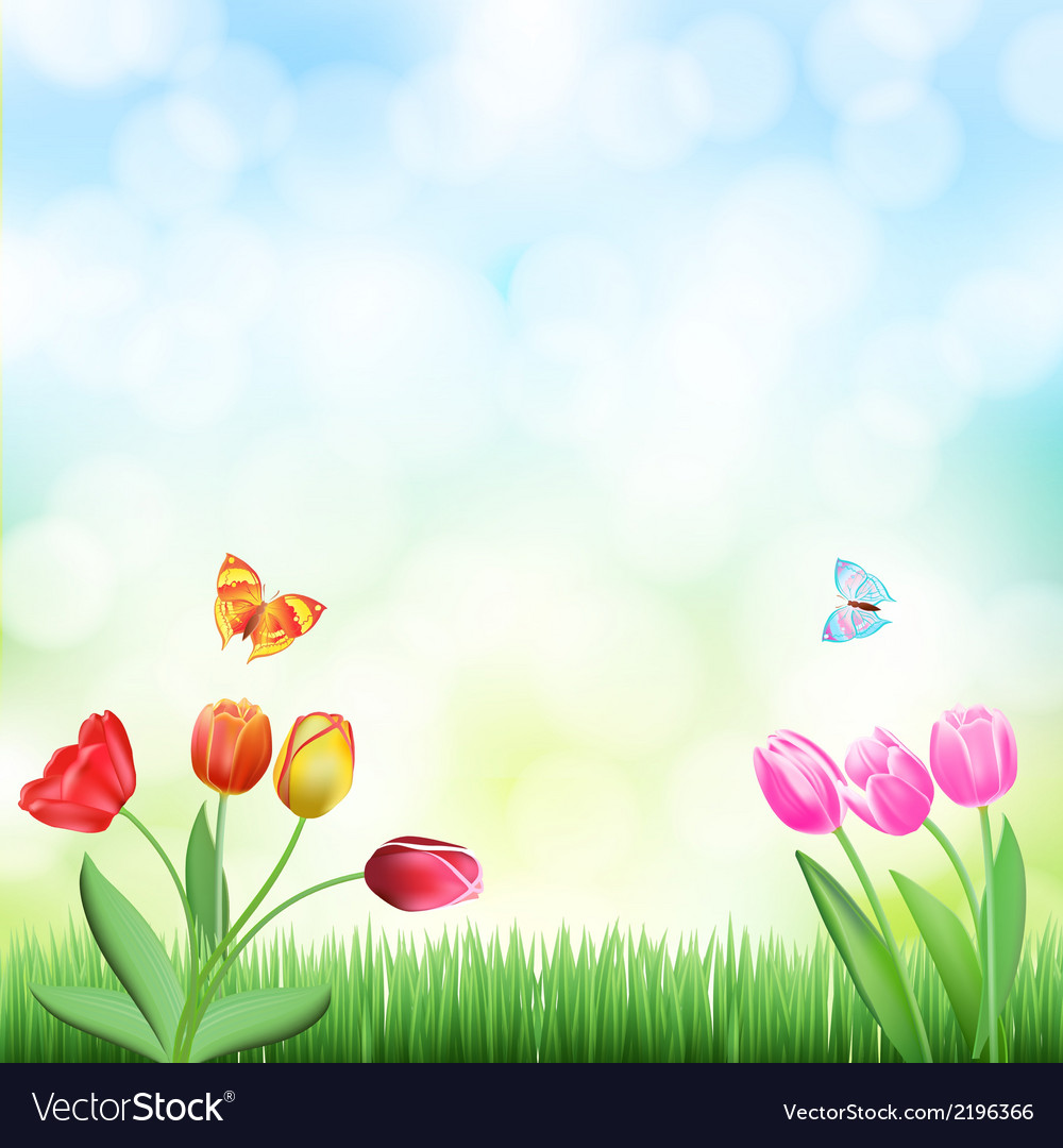 Grass tulips background Royalty Free Vector Image