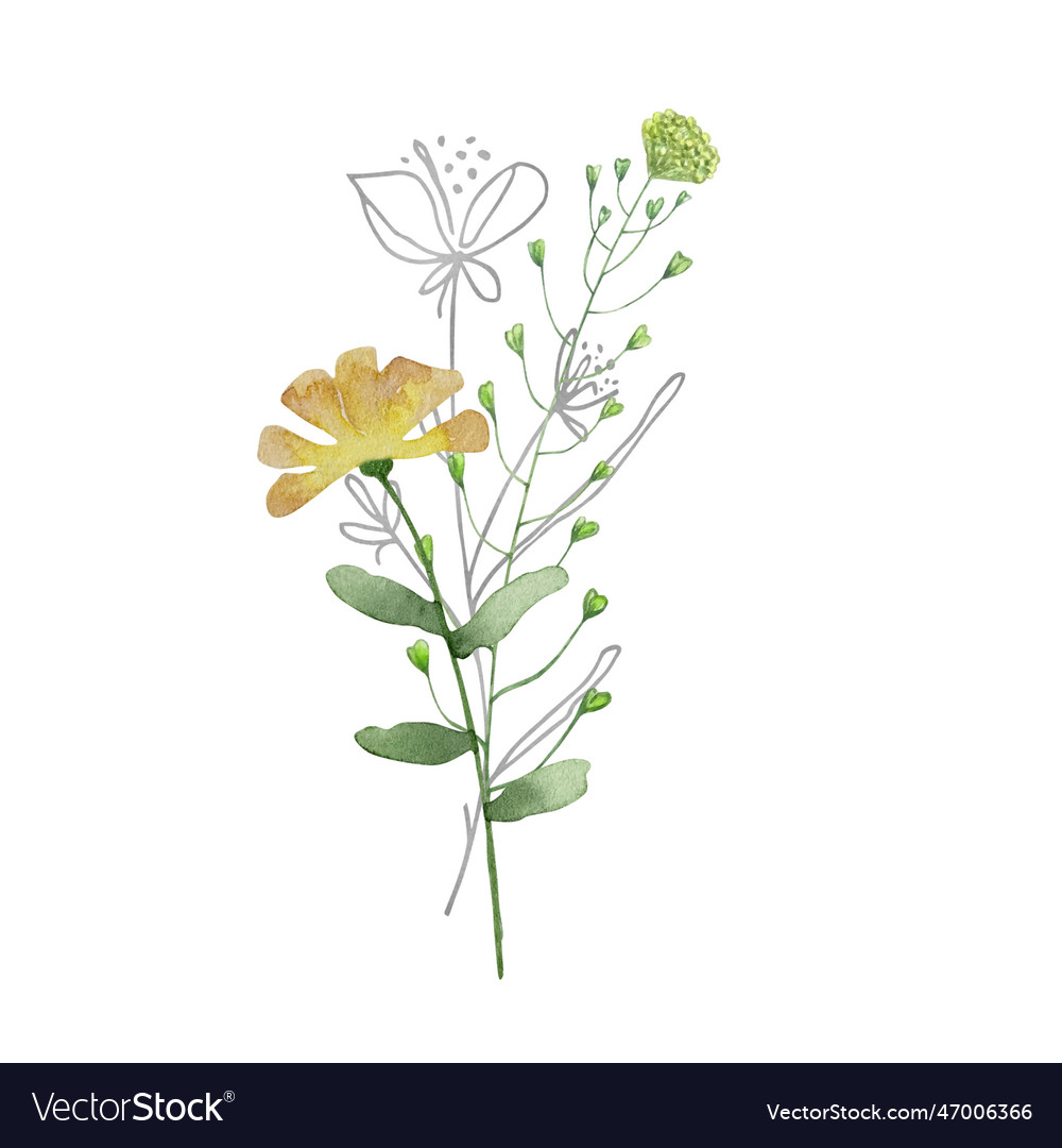 Watercolor bouquet of wildflowers Royalty Free Vector Image