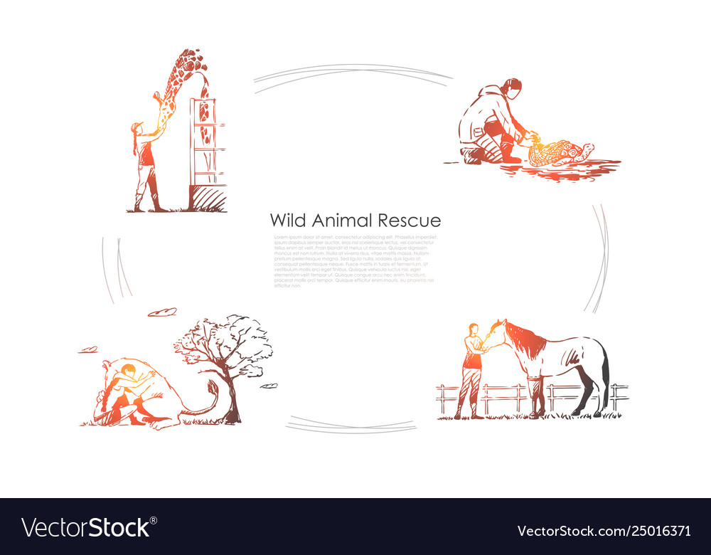 Wild animals rescue - people taking care