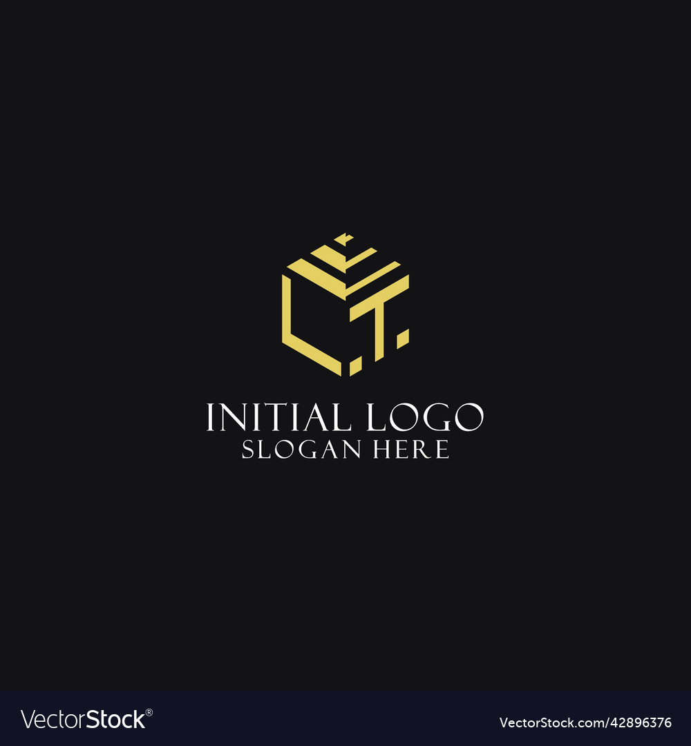 Lt initial monogram with hexagon shape logo