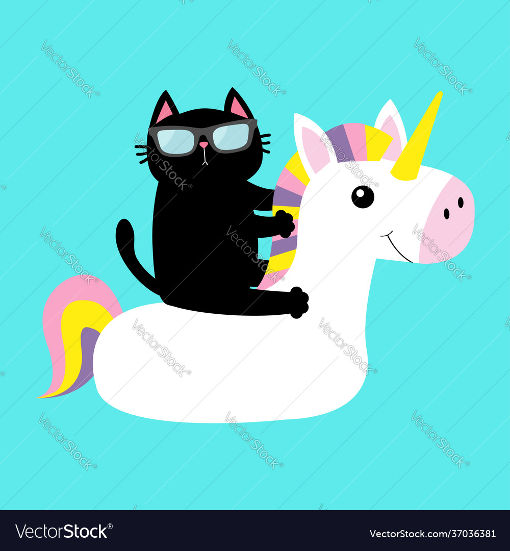 Black cat floating on white unicorn pool float vector image Black cat floating on white unicorn pool float