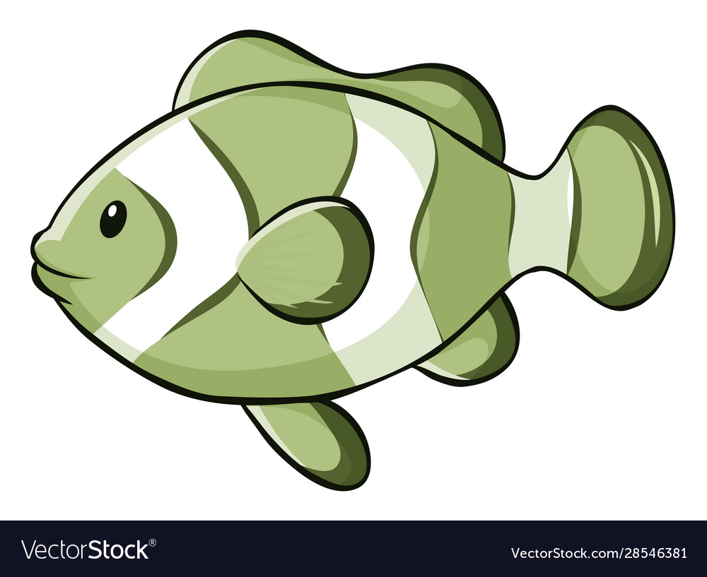Green fish on white background Royalty Free Vector Image Green fish on white background Royalty Free Vector Image