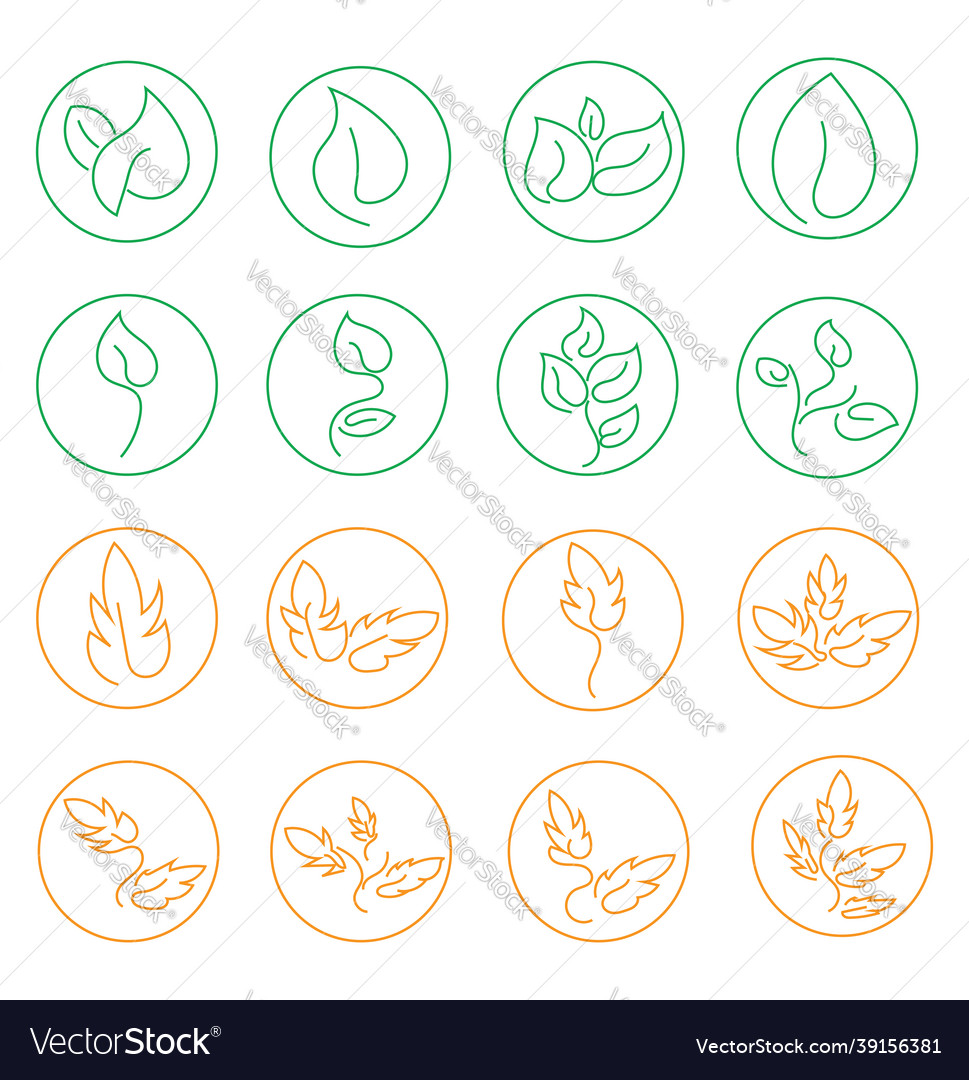 Summer and autumn leaves icon on white background