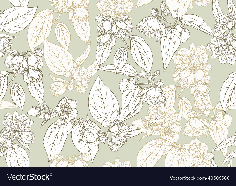 Jasmine seamless pattern background outline