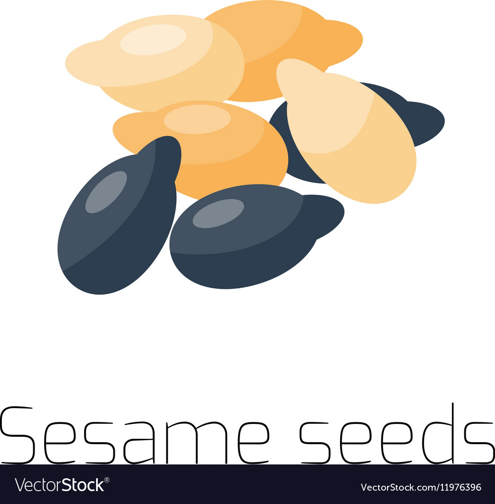 Sesame seeds on a white background macro Vector Image