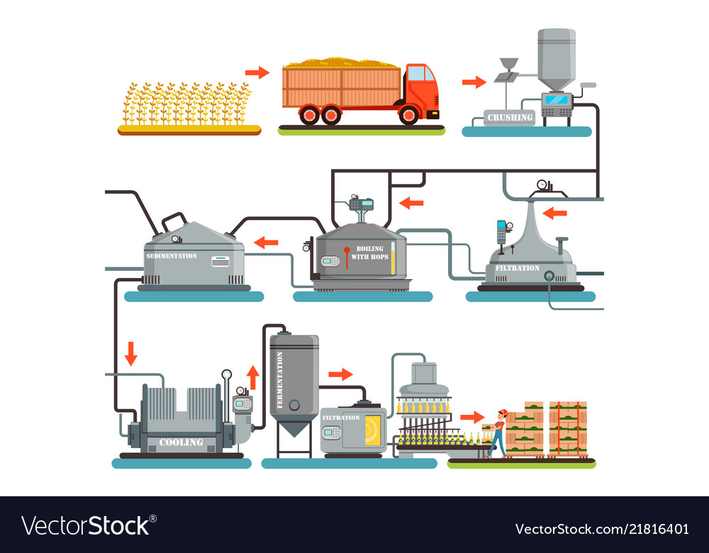 Beer brewing process production of