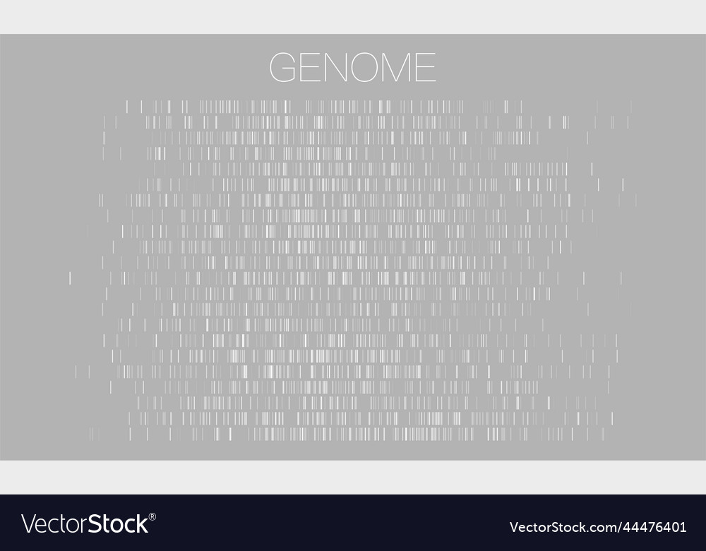 Big genomic data visualization vector image Big genomic data visualization