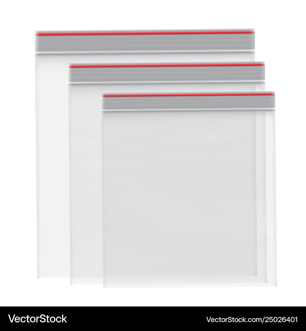 Packaging set ziplock empty Royalty Free Vector Image