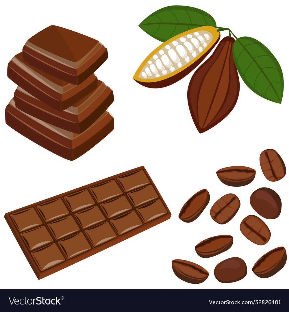 Raw cacao beans and chocolate bar sweet snack Vector Image