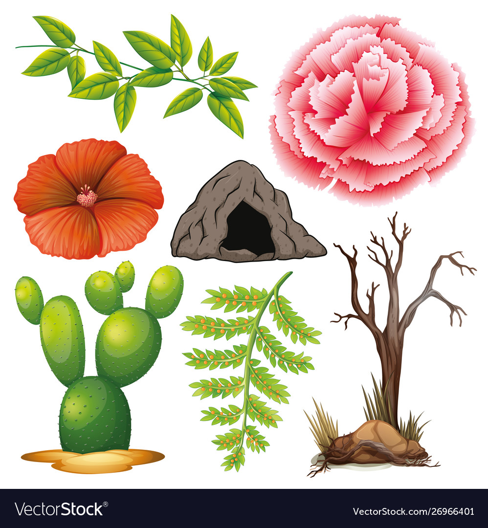 Set isolated objects theme gardening