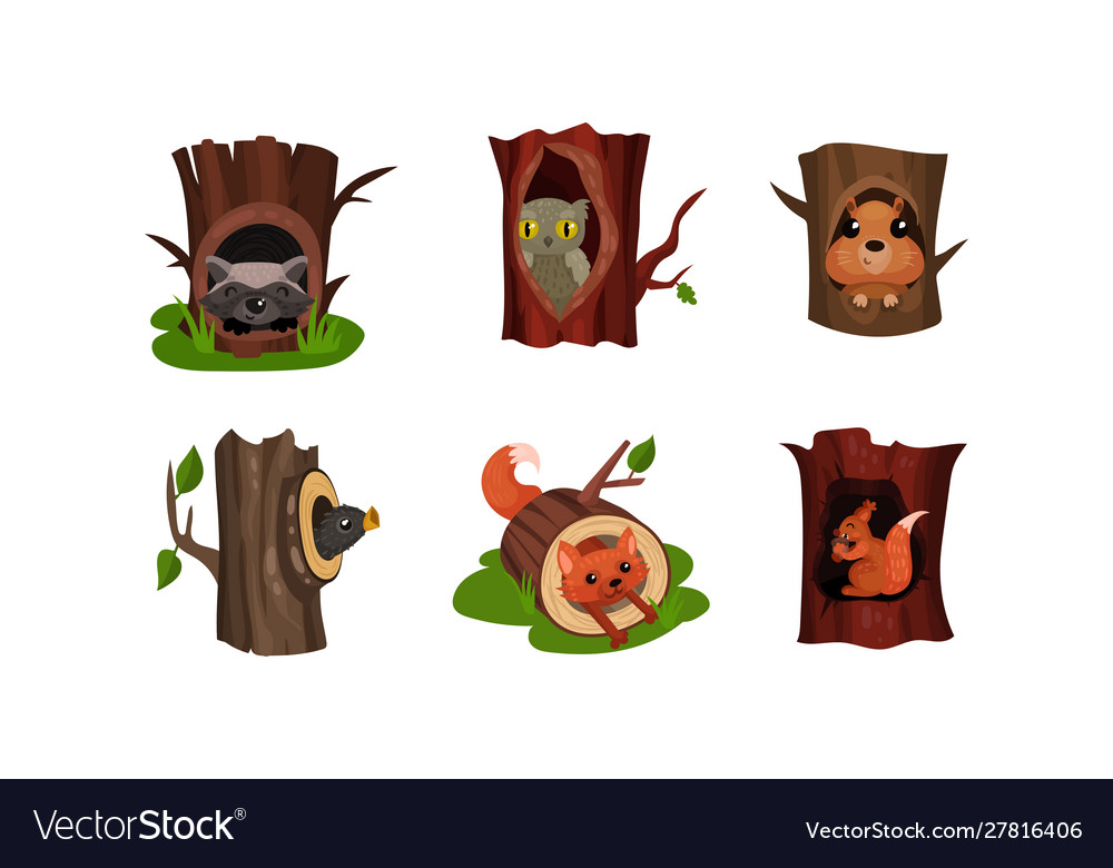 Adorable little birds and animals hidden in the Vector Image