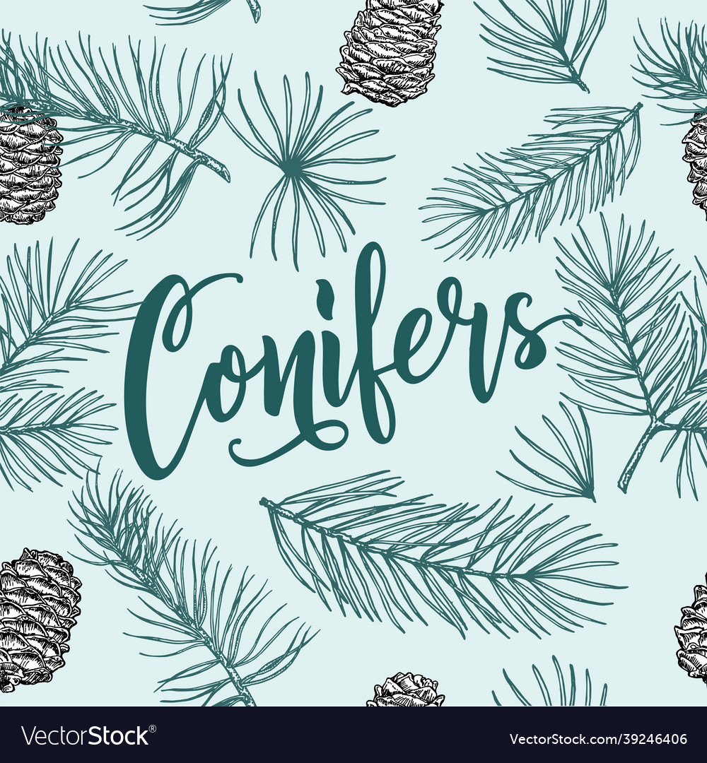 Seamless pattern with image of a coniferous