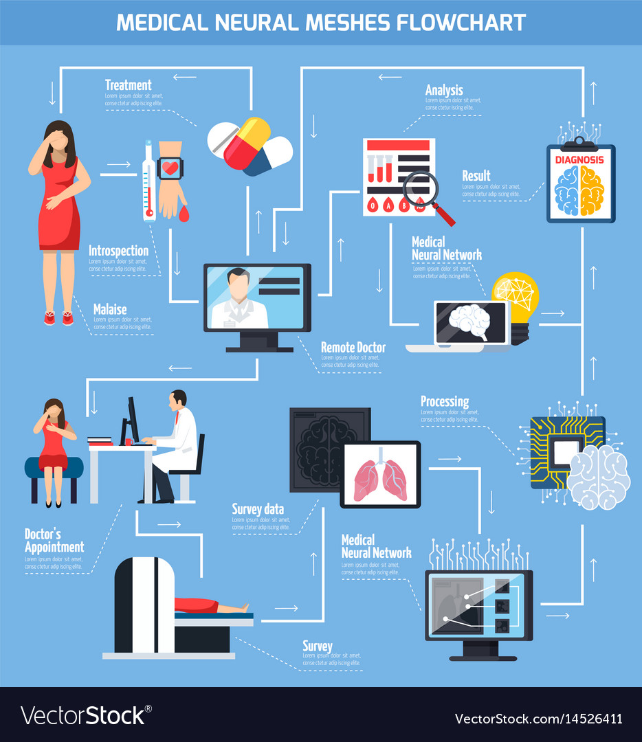 Medical neural meshes flowchart Royalty Free Vector Image