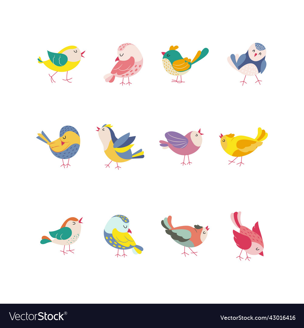 Funny colored birds in different poses set exotic