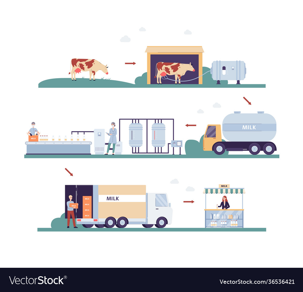 Banner shows milk dairy products manufacturing Vector Image