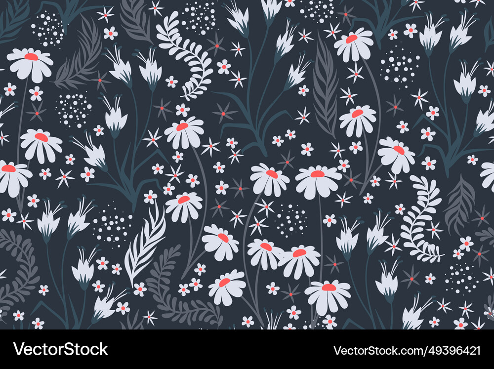 Chamomile field floral seamless patterns Vector Image