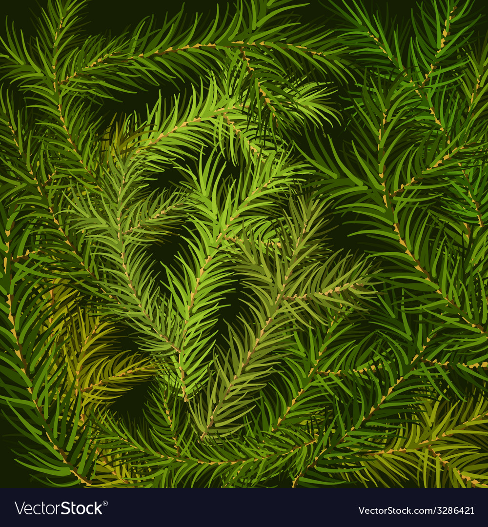 Fir Branch Texture Background