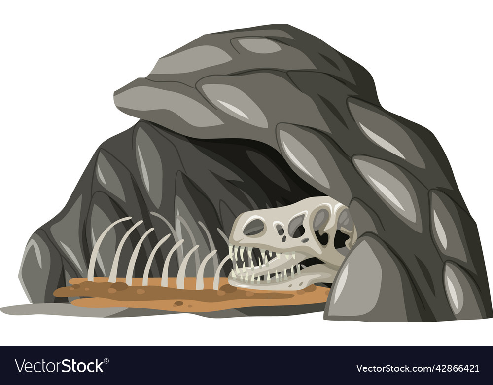 Stone cave with fossils