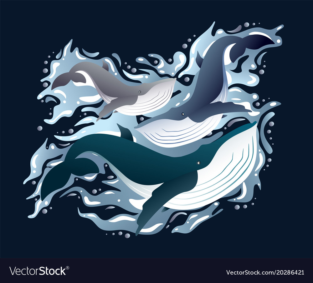 Whales family sleek set