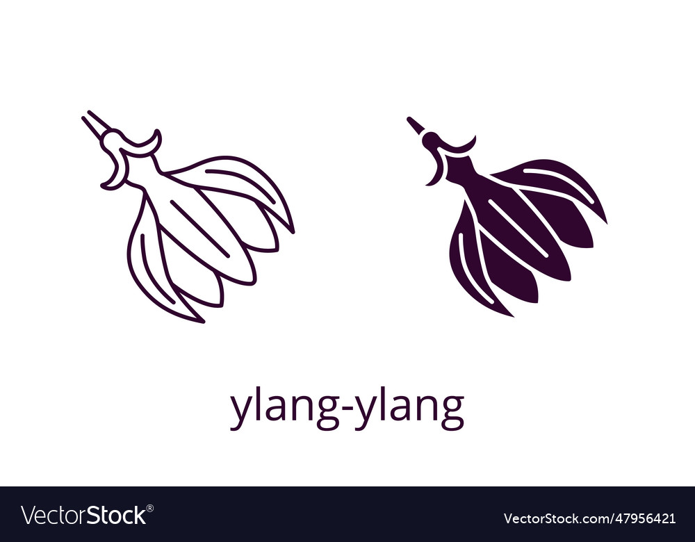 Ylang-ylang icon