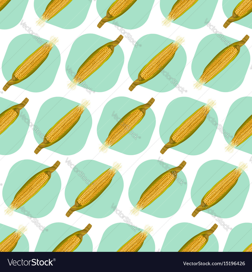 Corn maize seamless pattern realistic Royalty Free Vector