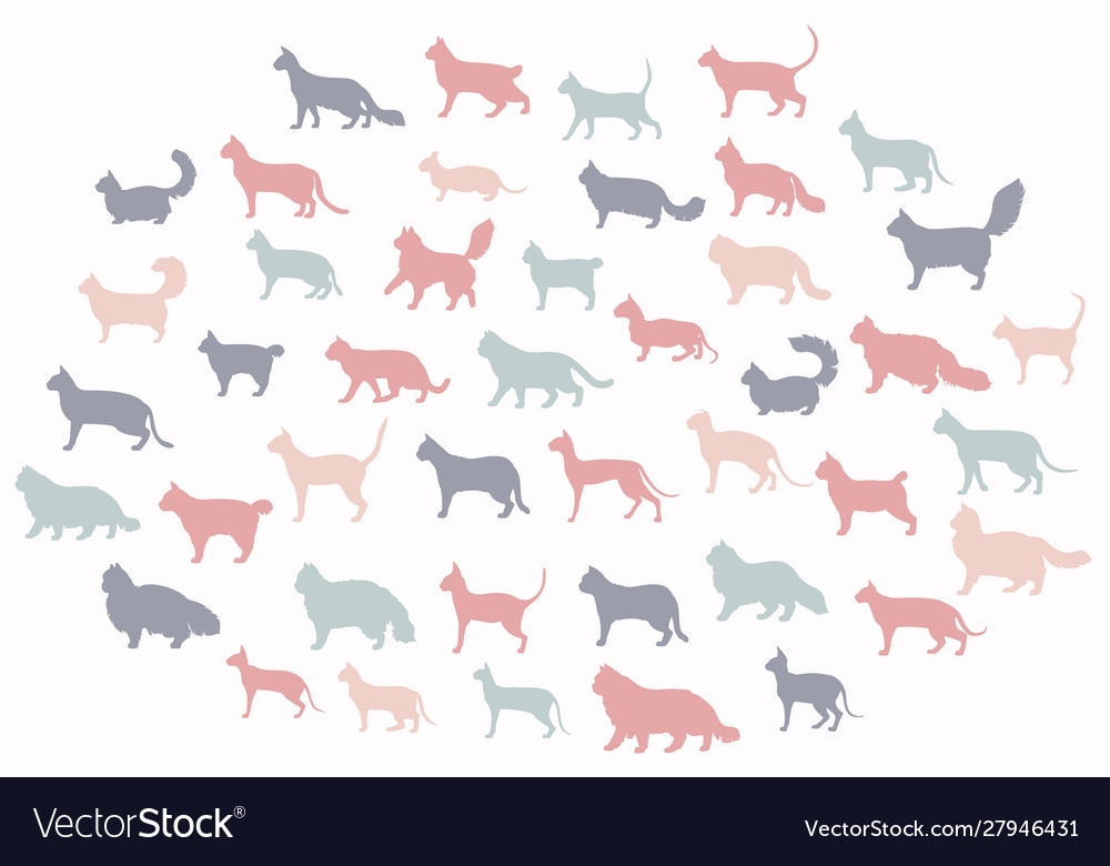 Cat breeds icon set flat style isolated on white