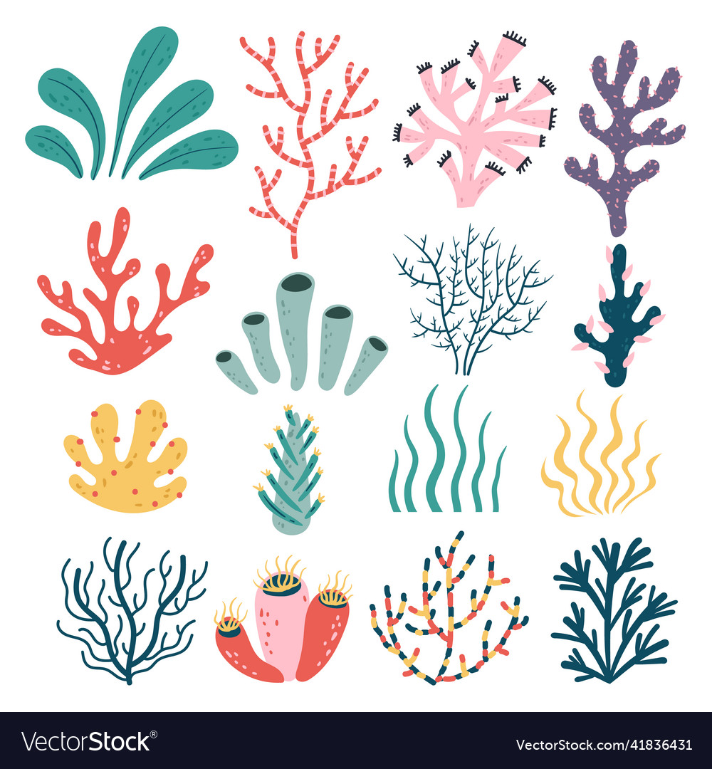 Hand drawn doodle style seaweed oceanic floral Vector Image