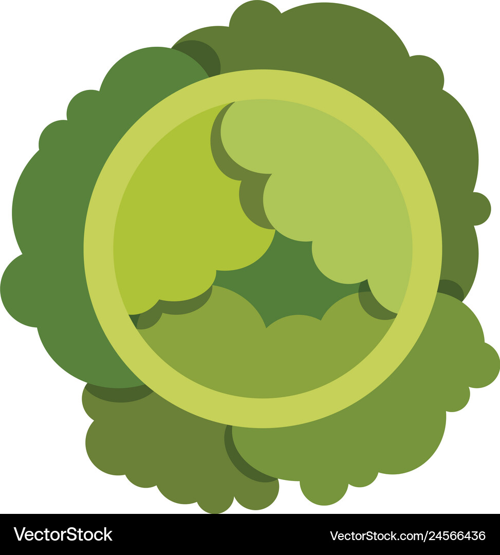 Cabbage flat on white Royalty Free Vector Image