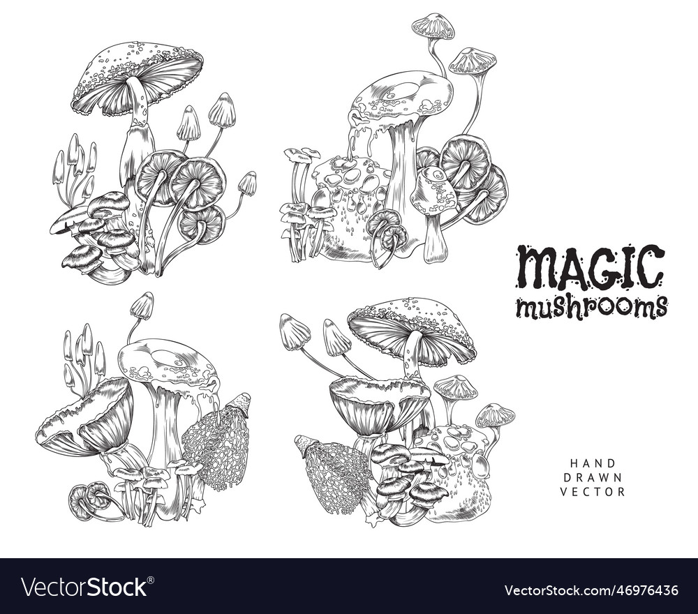 Magic fairy tail poisonous mushrooms set engraved