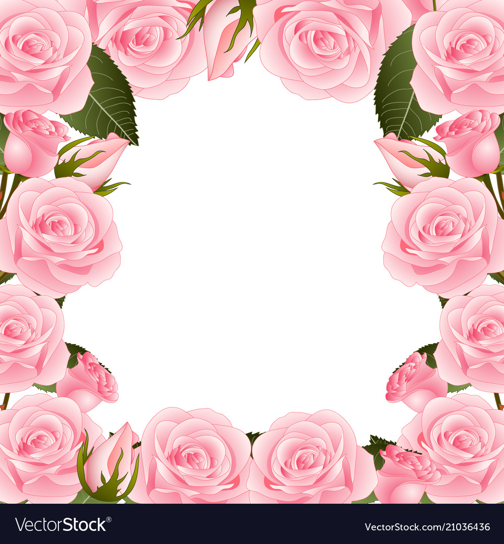 rose flower frame designs