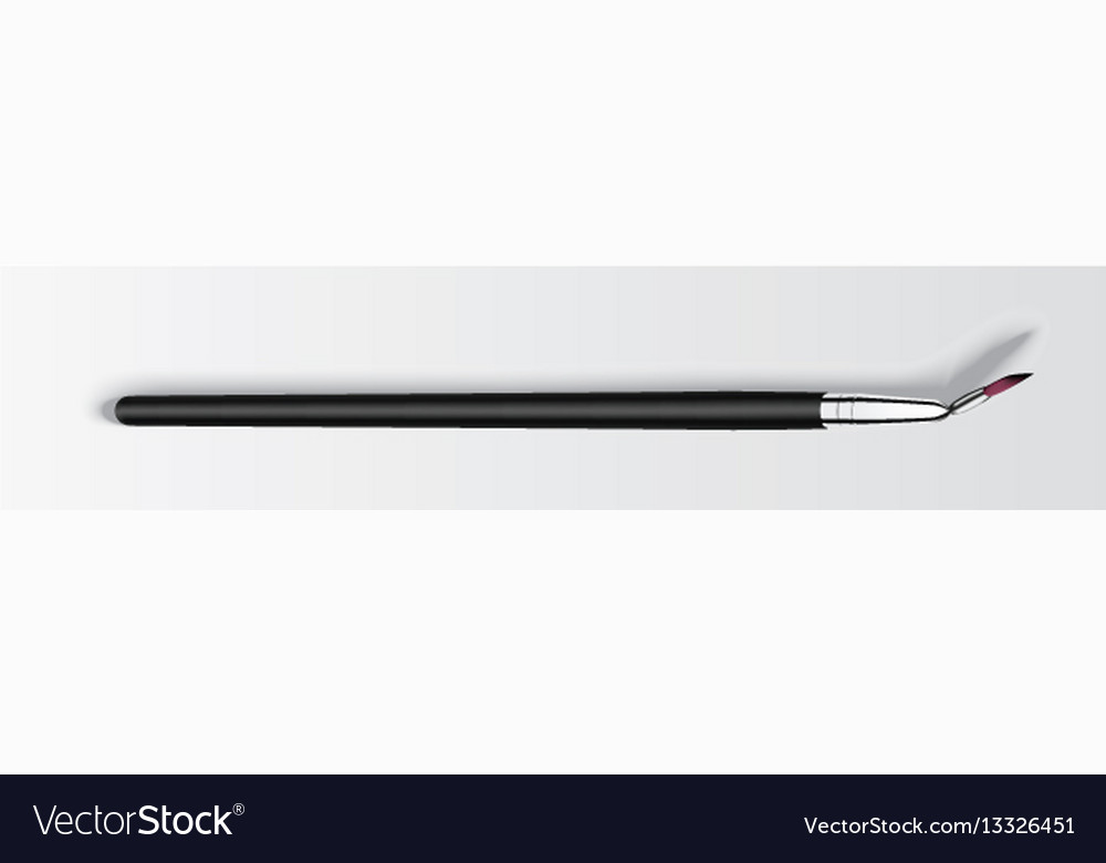 Cosmetic Makeup Brushes