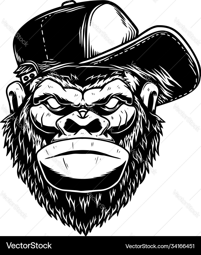 Head gorilla had in baseball cap in vintage Vector Image