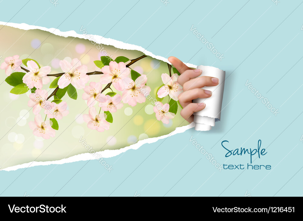 Nature background with spring flowers and ripper Vector Image