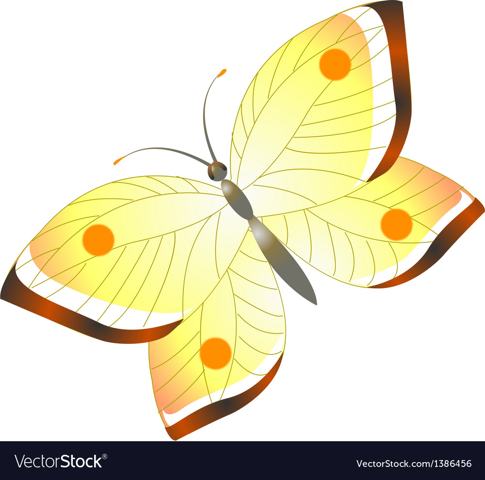 Icon butterfly