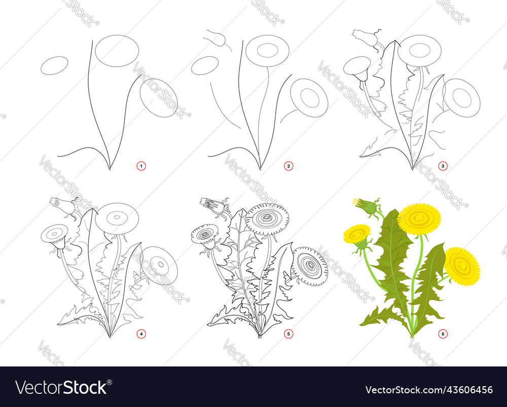Page shows how to learn draw step by toy Vector Image Page shows how to learn draw step by toy