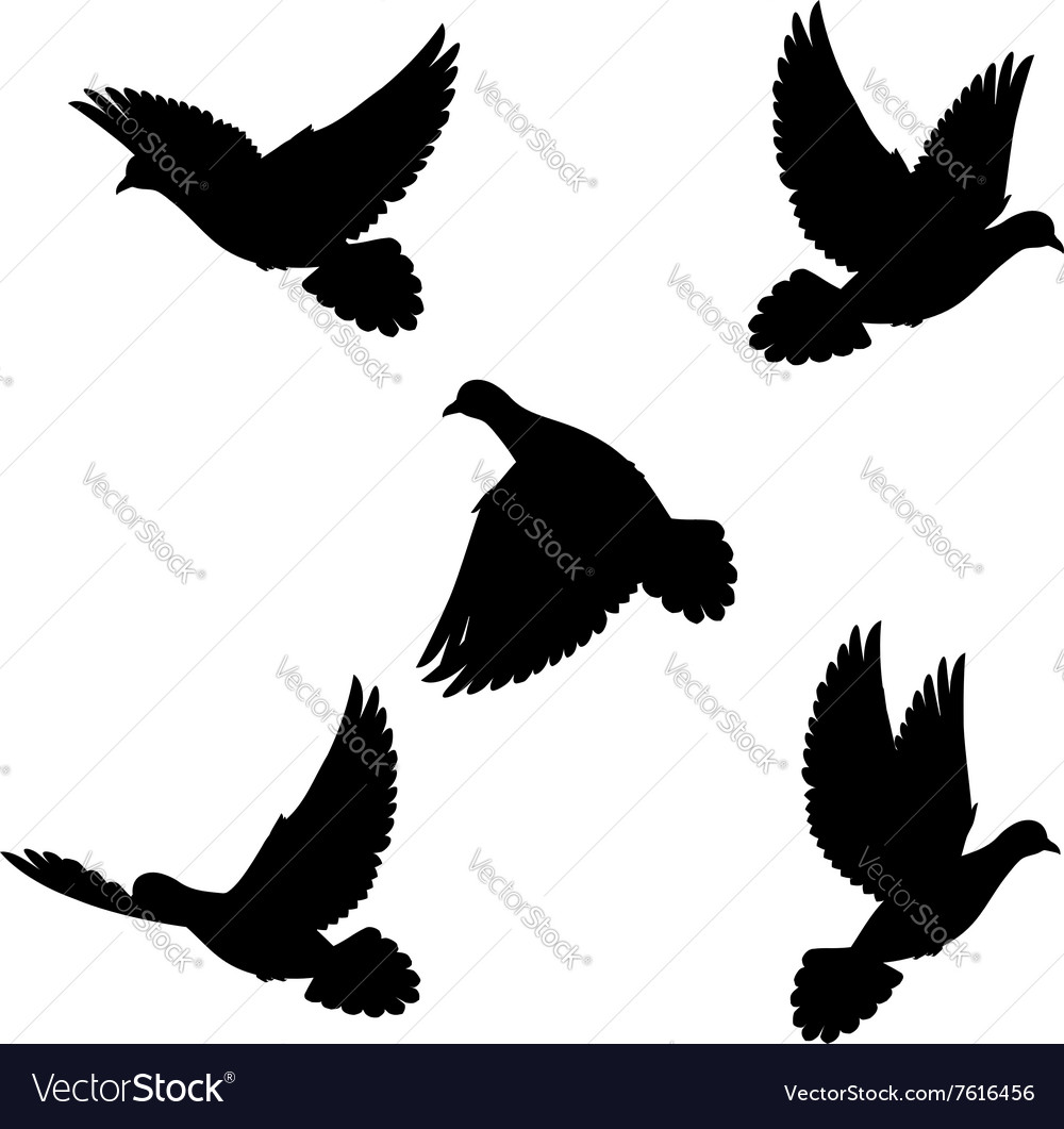 Set doves