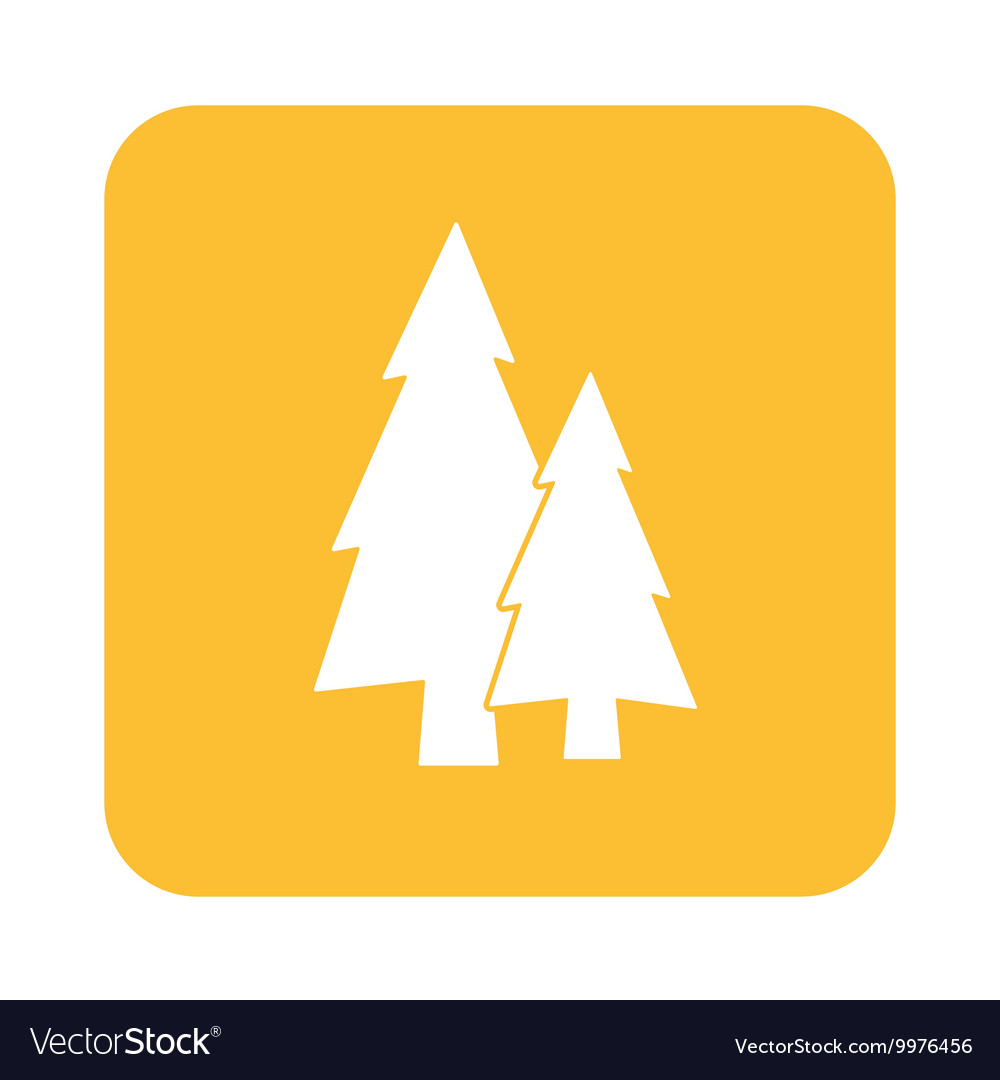 Spruce Icon