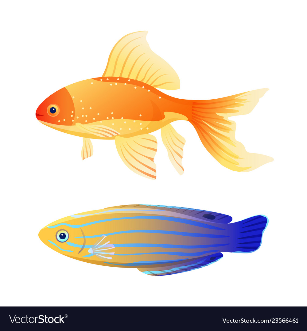 Blue striped tamarine and goldfish cartoon poster