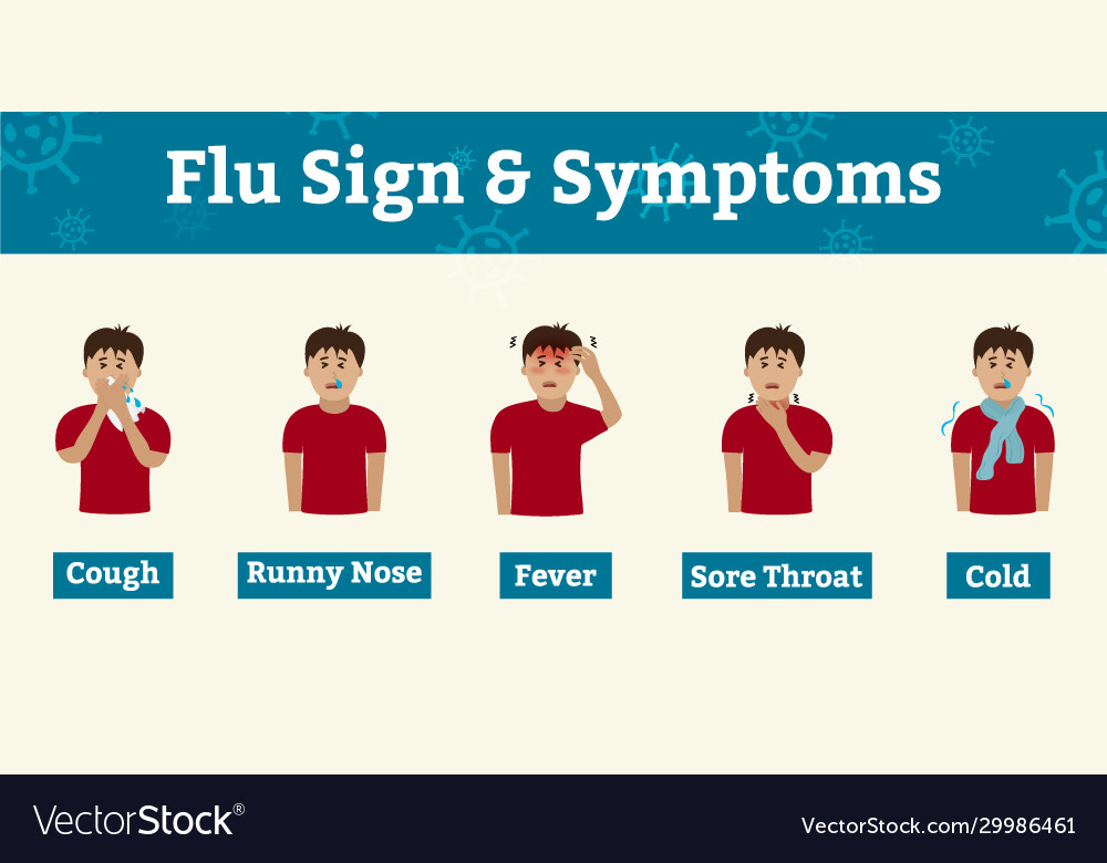 Cold and flu symptoms and sign infographic Vector Image