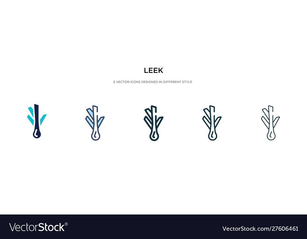 Leek icon in different style two colored vector image Leek icon in different style two colored