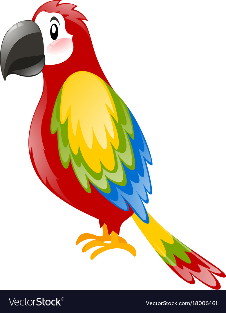 Parrot With Colorful Feather Royalty Free Vector Image