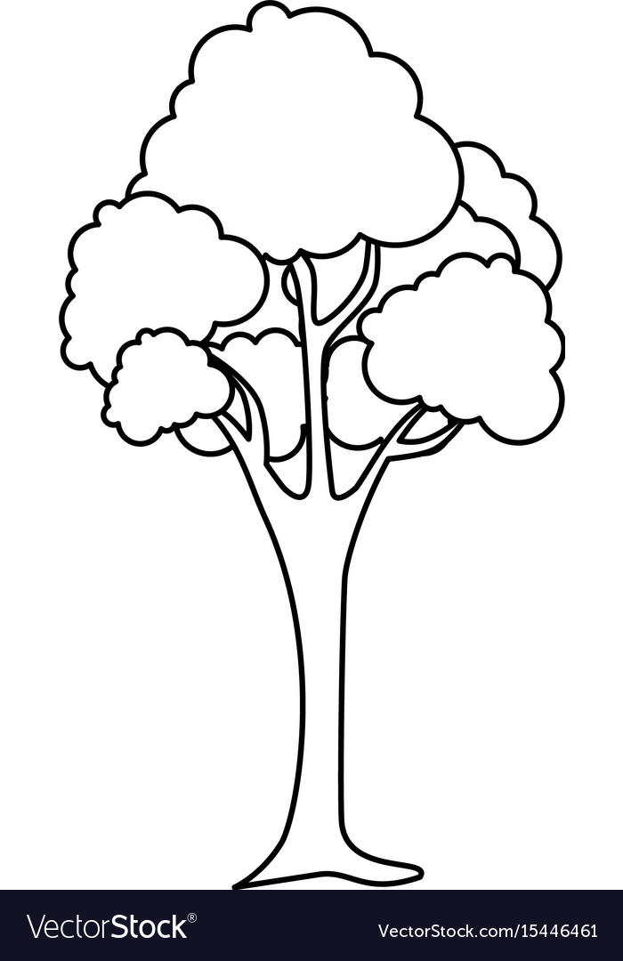 Tree icon image