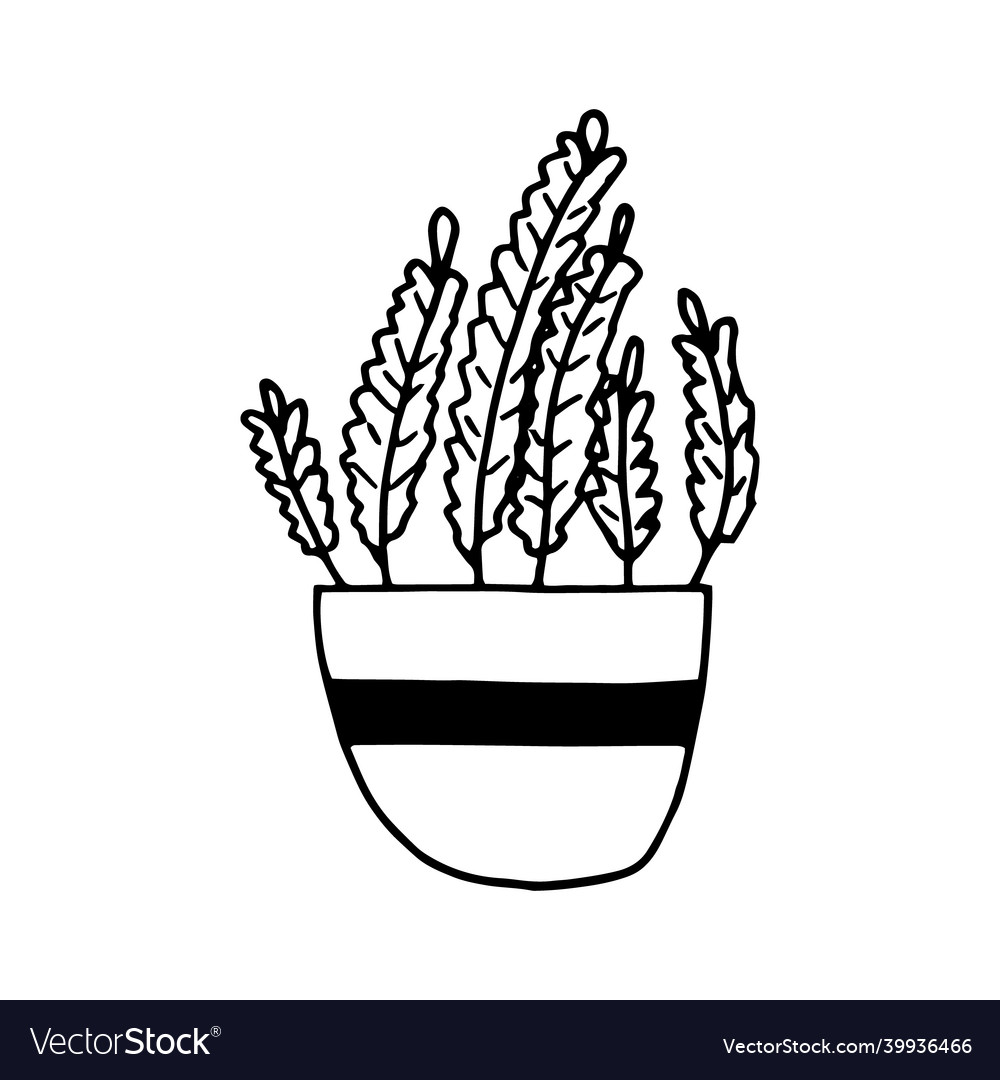 Heather in a pot icon hand drawn minimalism