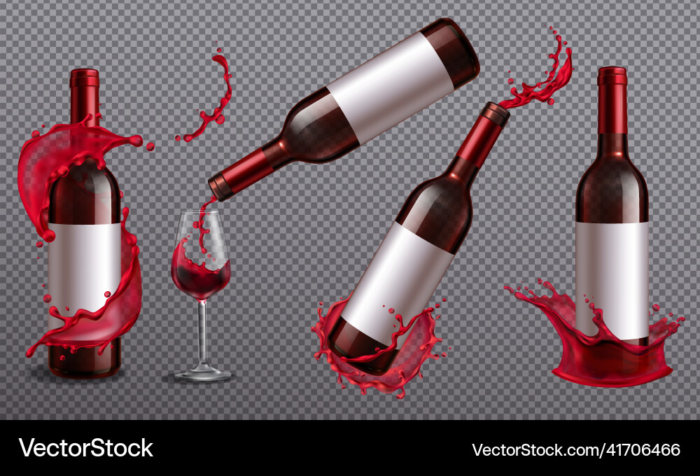 Wine bottles splash set Royalty Free Vector Image