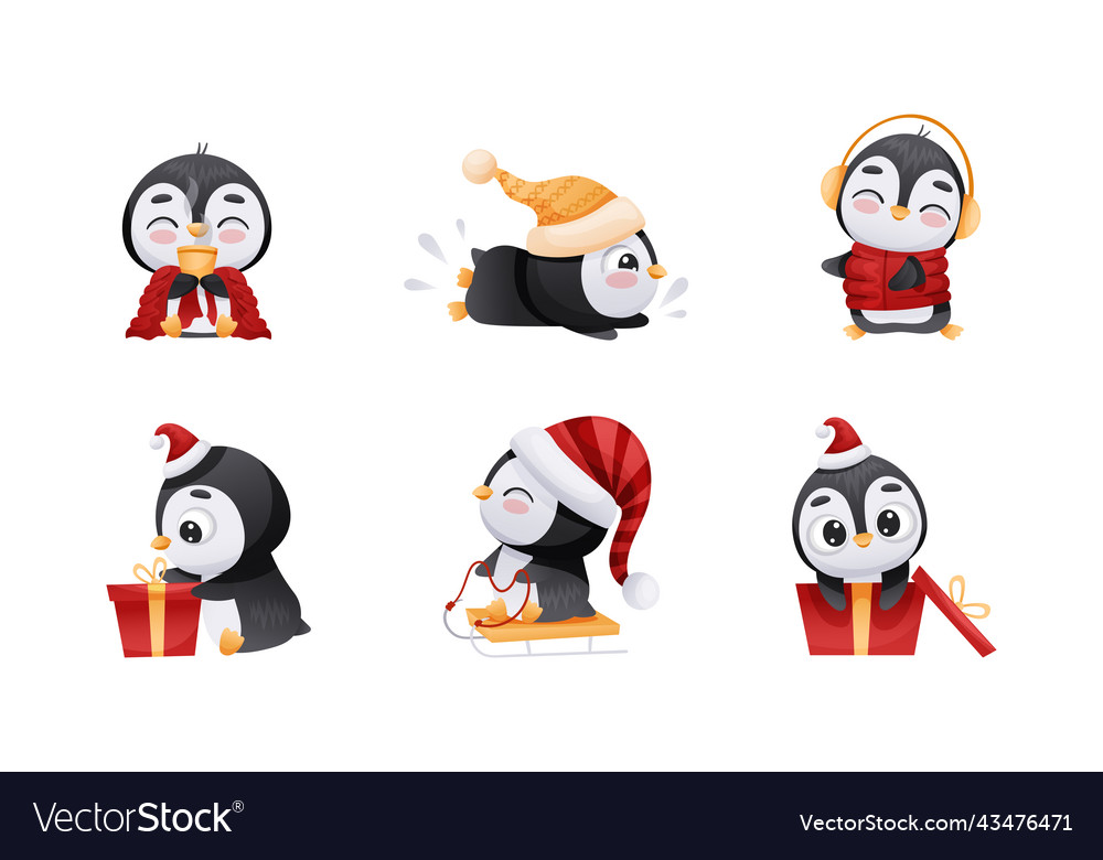 Adorable penguin in warm winter hat engaged