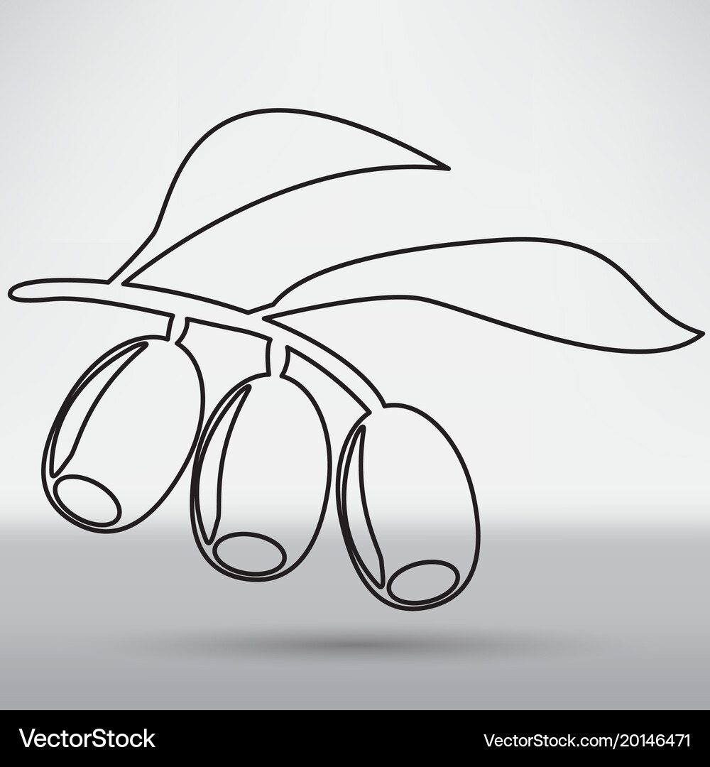 Olive branch Royalty Free Vector Image - VectorStock
