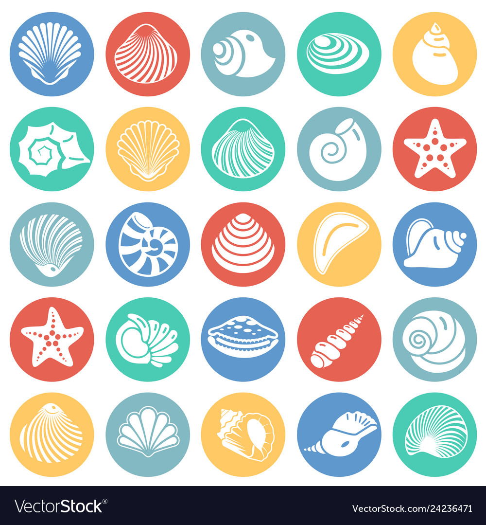 Sea shell icons set on color circles background