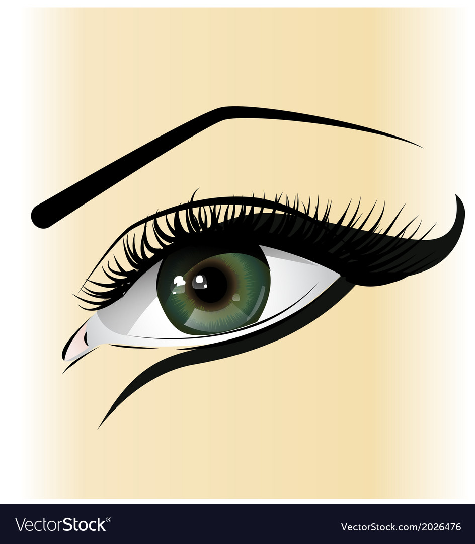 Female eyes Royalty Free Vector Image - VectorStock