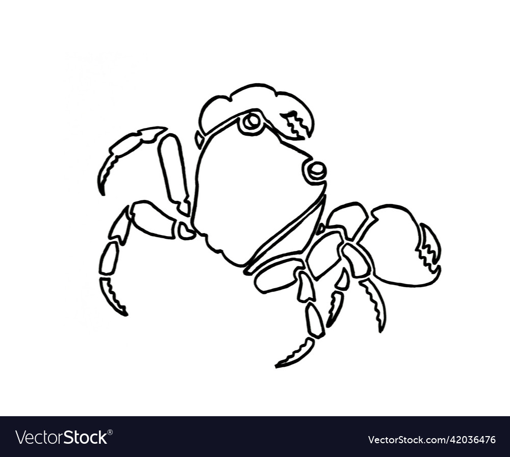Graphical sketch of crab isolated on white Vector Image Graphical sketch of crab isolated on white
